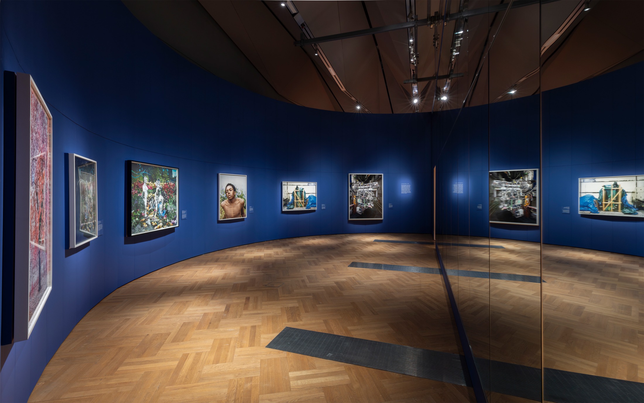 Installation view: Fragile Beauty, V&A South Kensington © Victoria and Albert Museum, London