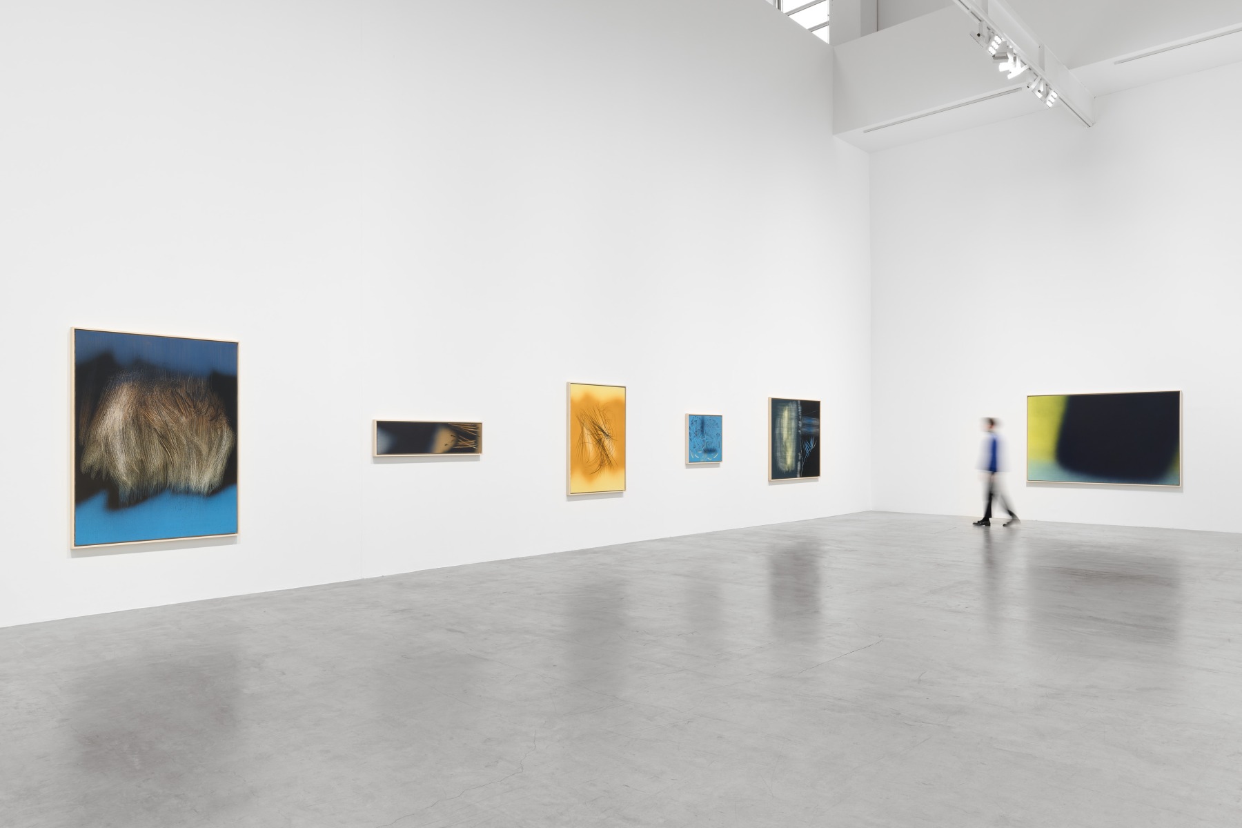 Jeff Koons - Galerie Max Hetzler